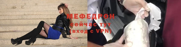 индика Осташков