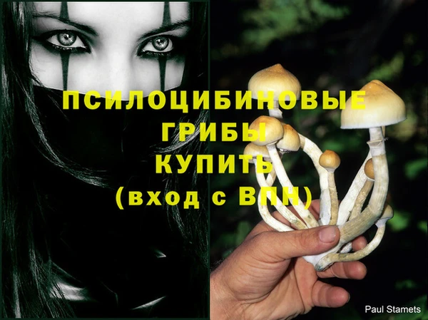 индика Осташков