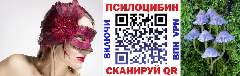 где найти наркотики  Скопин  Псилоцибиновые грибы Psilocybine cubensis 